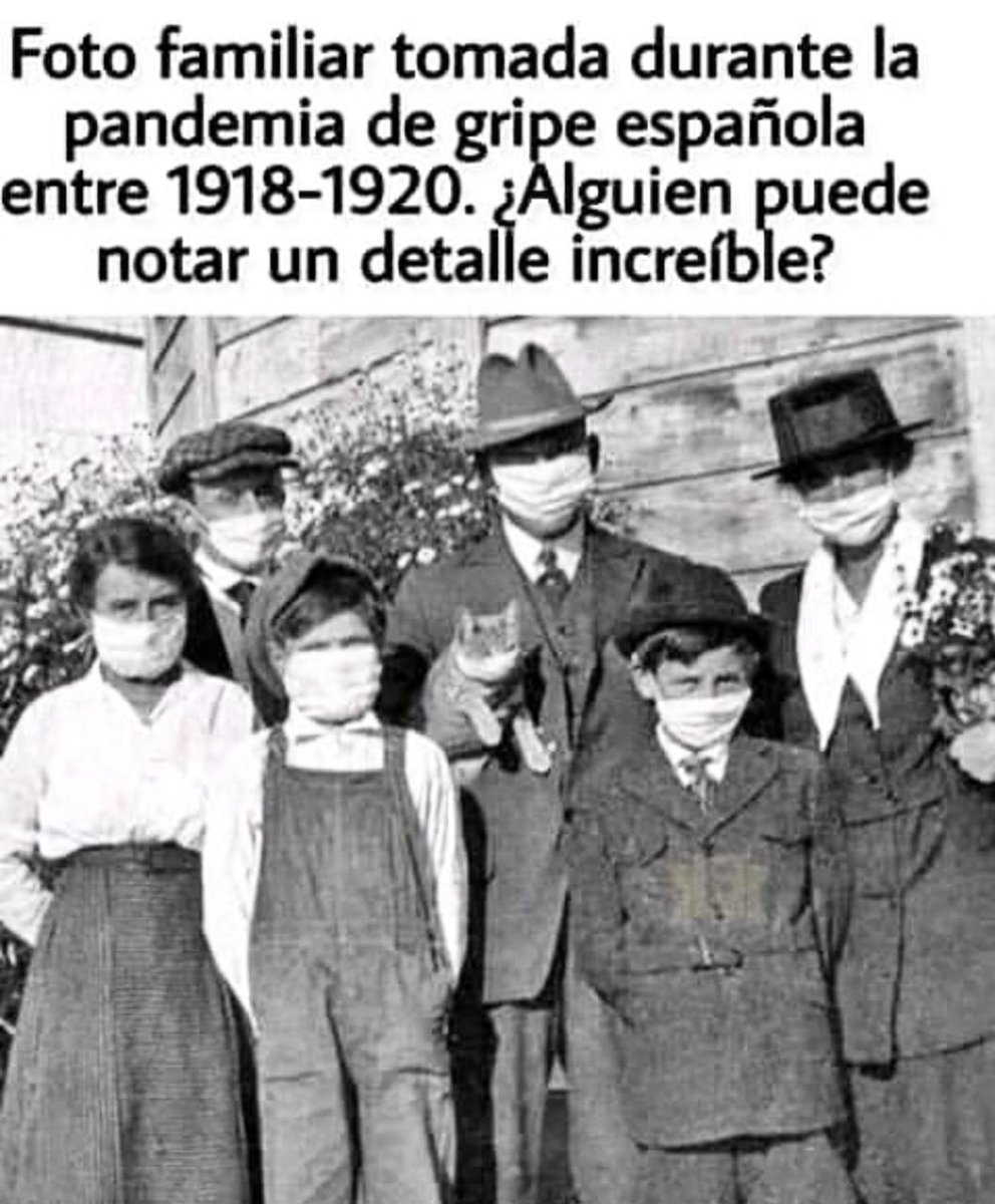 NormaFriedmann's tweet photo. 🕵🏼‍♀️😷100 años después... 😸 https://t.co/947mWTD85F