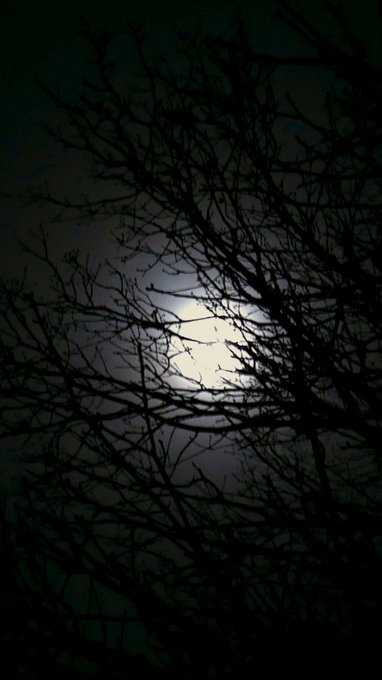 Ich liebe Vollmond! Zum Wegtr&auml;umen! 😍😍 https://t.co/7HXBwaPh6U<a href="/tag/lol"class="tags"><span>#lol</span></a><a href="/tag/fun"class="tags"><span>#fun</span></a><a href="/tag/funny"class="tags"><span>#funny</span></a><a href="/tag/morning"class="tags"><span>#morning</span></a><a href="/tag/crazy"class="tags"><span>#crazy</span></a><a href="/tag/suck"class="tags"><span>#suck</span></a><a href="/tag/lachen"class="tags"><span>#lachen</span></a>