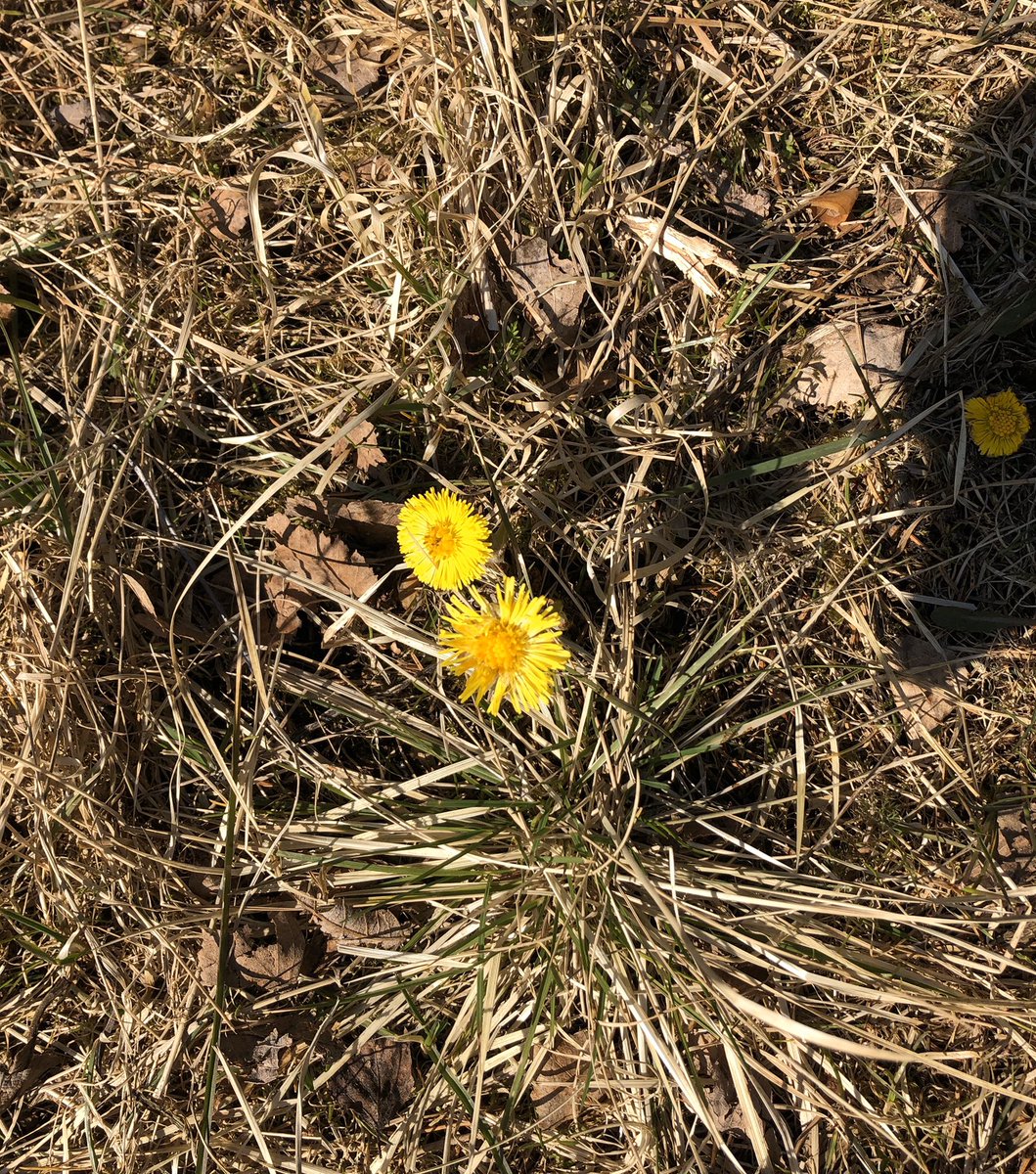 Ei sanoja, ei ihmisiä 6/7. No words, no people. Minut haastoi @jani_siimes  &amp; <a href="/TiinaSatti/">Tiina Satti</a>, haastan <a href="/TiaStalhammar/">Tia Stålhammar</a> . #elämänikuvina #mylifeinpictures