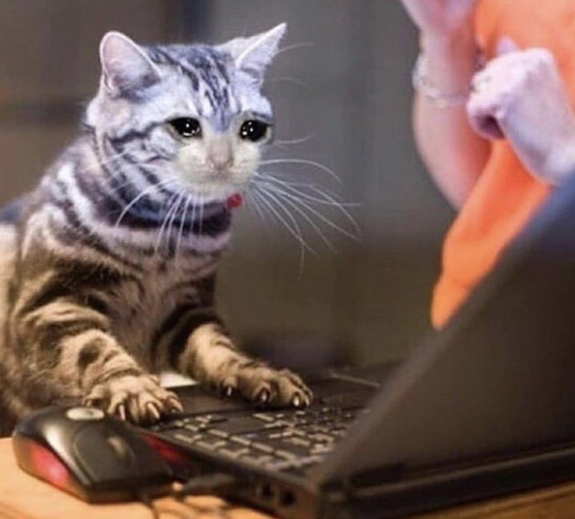 Mat196Q's tweet photo. Me for the past 7.5 hours not getting the key: https://t.co/1Nh4eCNgRQ