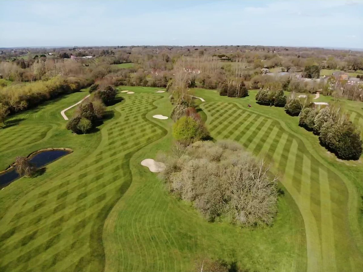 Sand Martins looking in fine fettle during the lockdown. So excited to get back out there and play my first 18 holes of the year 👀 #sadbuttrue