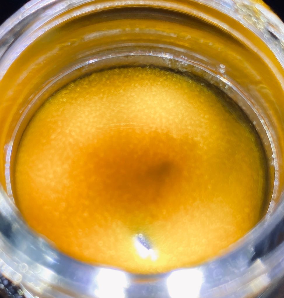 EmeraldZoo's tweet photo. May as well make the best of the shituation. Looks like it that time! #DabThirty https://t.co/i6JXTuF3ae