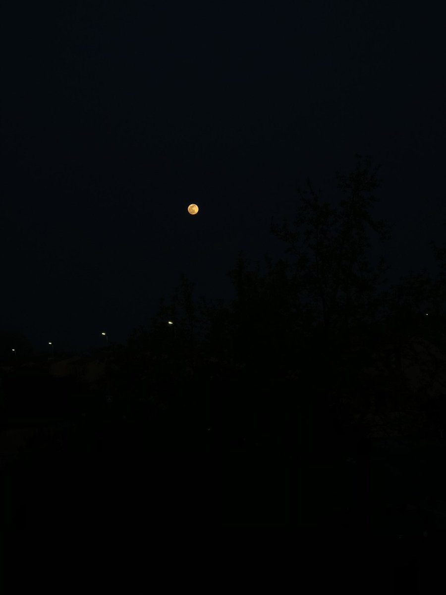 dailymoonpics's tweet photo. super pink moon tonight 💓 🌙 https://t.co/siCvWmqODX