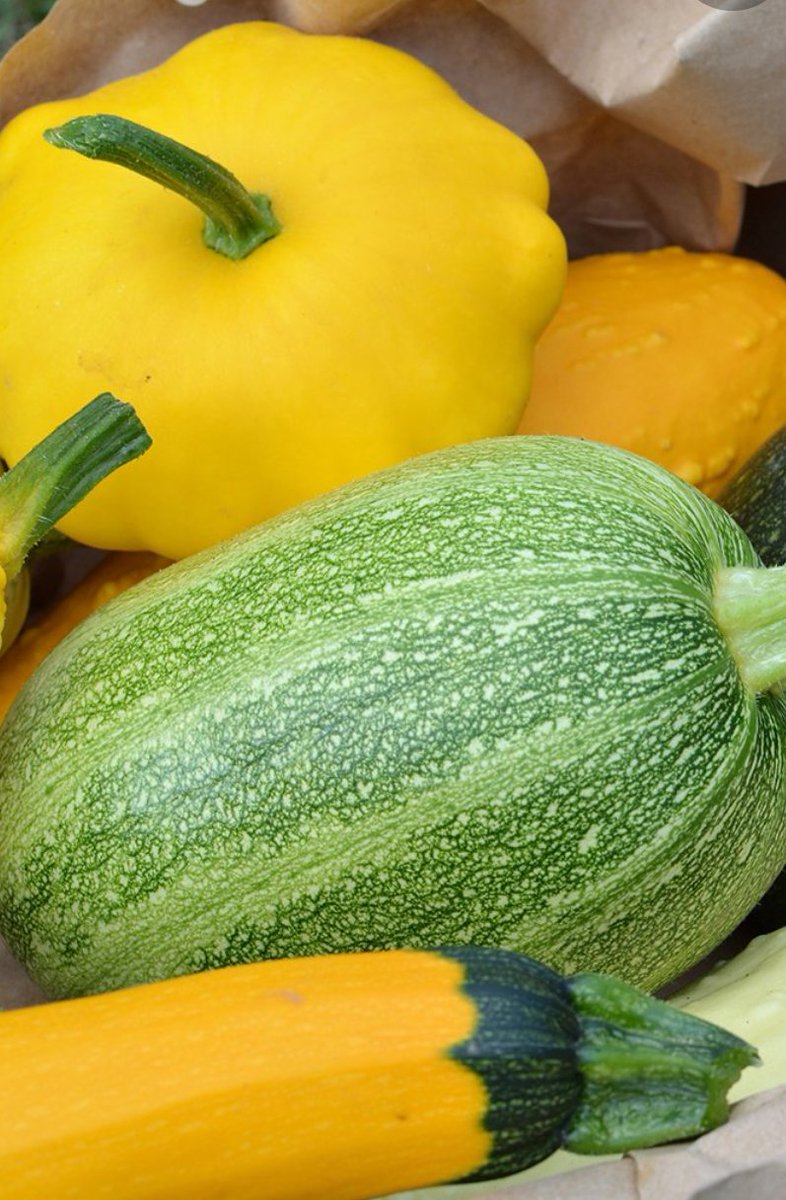 Rassasyme's tweet photo. Week 32 – Squash https://t.co/sRv0rnRfBq https://t.co/kqf1oRSAkn