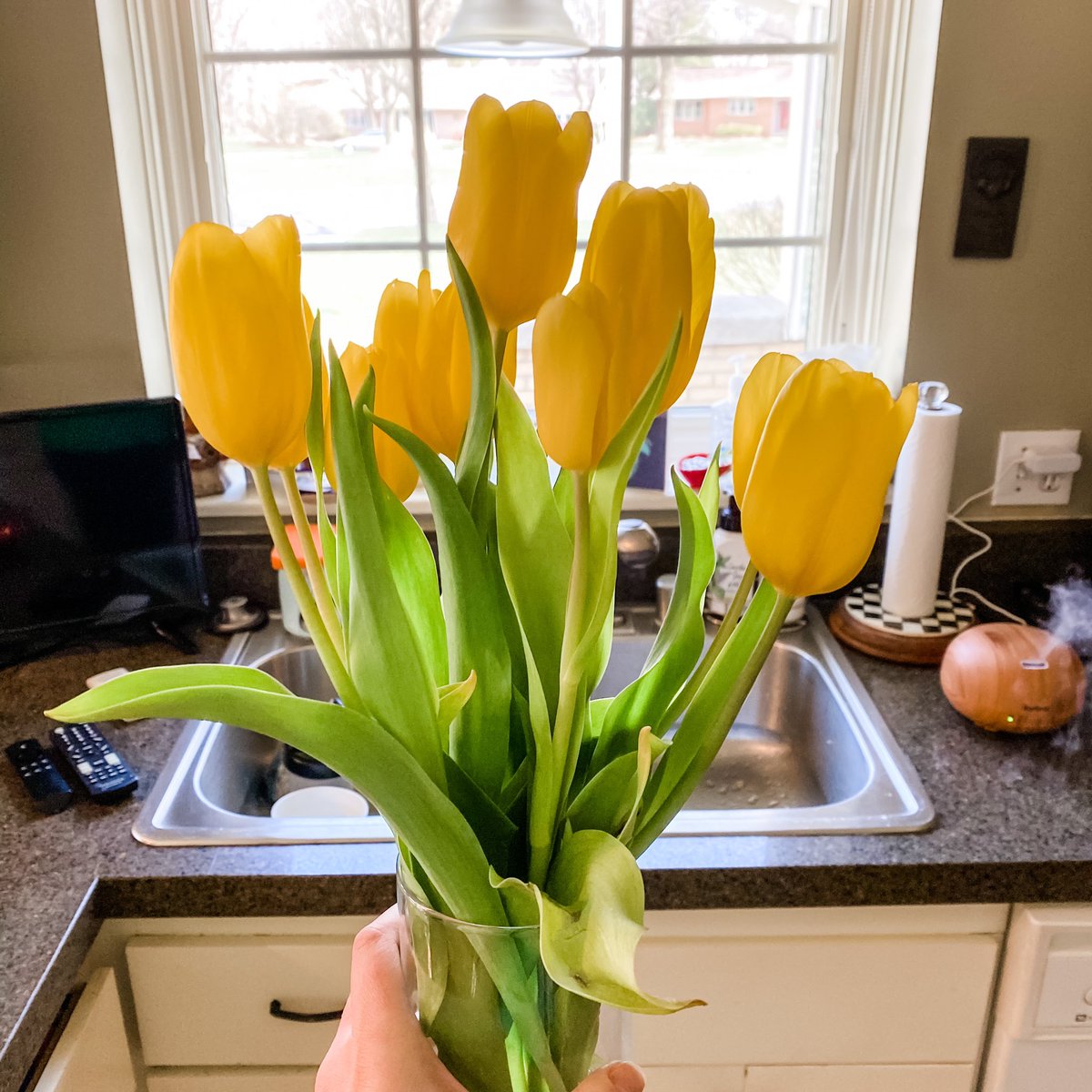• fresh cut flowers  I have been buying them when I grocery shop and they really have brightened my kitchen and my day! [This is from yesterday but forgot to post it!]