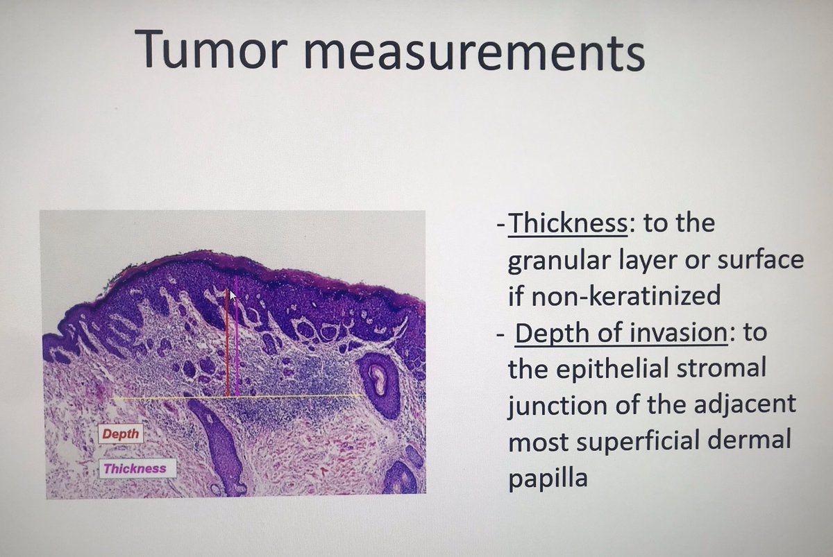 Pearls from today’s GYN lecture by Dr. Khalifa @ac_pathgal @sayak_ghatak #virtualpath #remotelearning #pathology #gyn #UMNProud