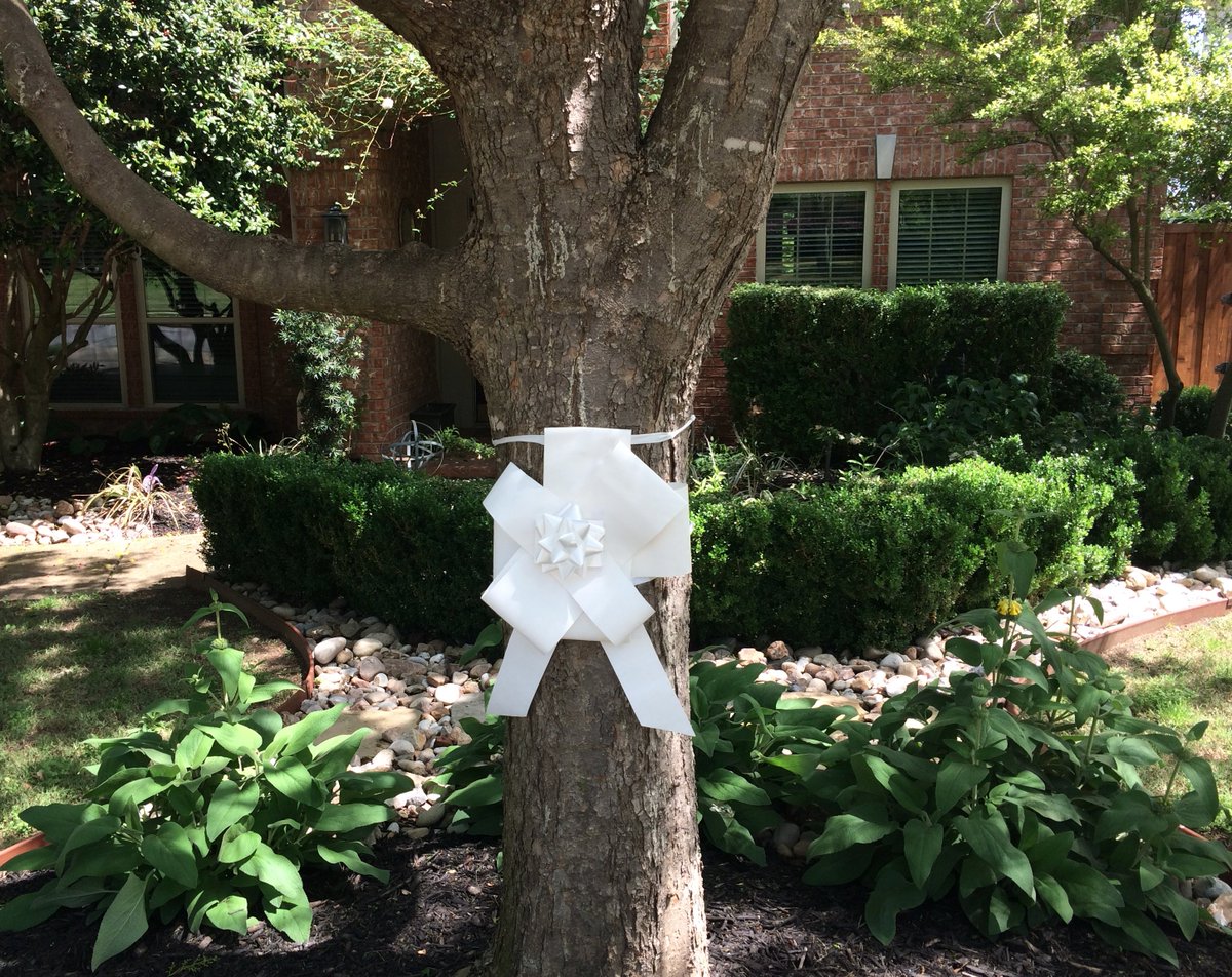 Homemade bow hung by my at home beau in Grapevine where we honor our #healthcareheroes.  Thank you for all you are doing and for the sacrifices you are making for us all.  We are humbled and grateful.  #whiteribbonrally #wfaa #GrapevineTX #UTSouthwestern #BaylorScottandWhite