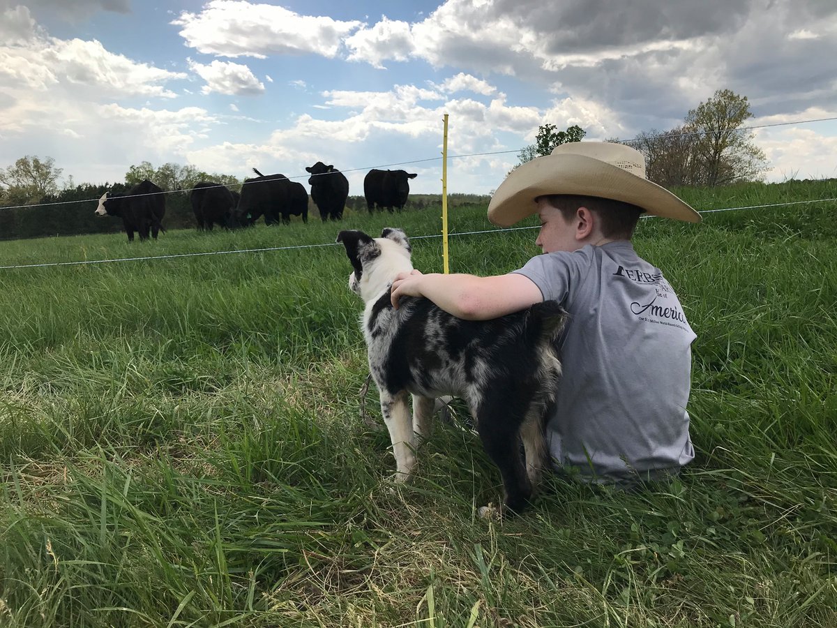 This is what Spring Break looks like for our NC farm kids this year. No shows to travel to, but the work doesn’t stop. There are always fences to mend, cattle to wash, pigs to feed or crops to put in. Thank you to all our farmers for keeping us well fed! #StillFarming #GotToBeNC