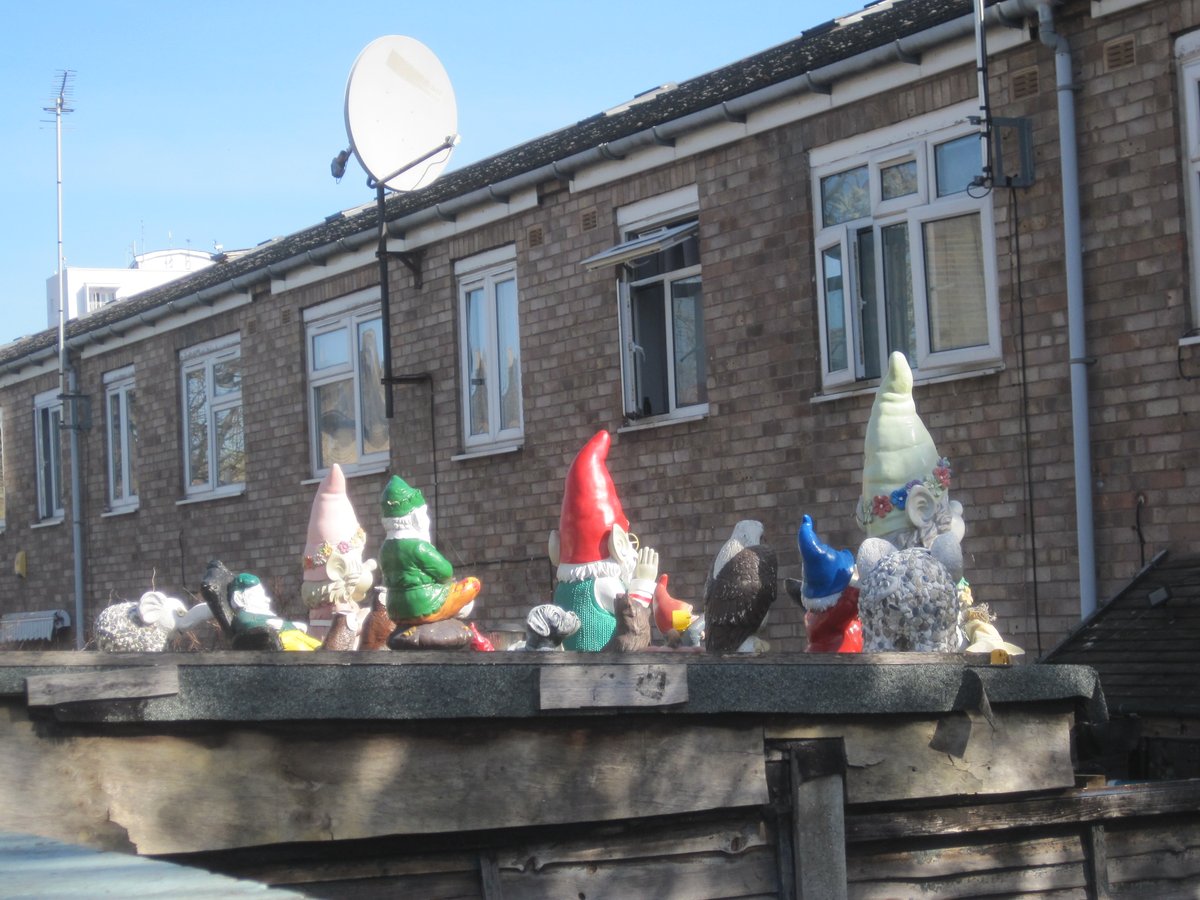 The gnomes of Glyn Road, Clapton are waiting for the last human to die, so they can move in.
