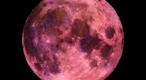 Towcesteryear5's tweet photo. We studied the lunar cycle last term in our space topic! Tonight’s ‘Pink Moon’ will be the largest Supermoon of 2020! Who will spot it first? 🌕 https://t.co/dMEsnkxTVQ