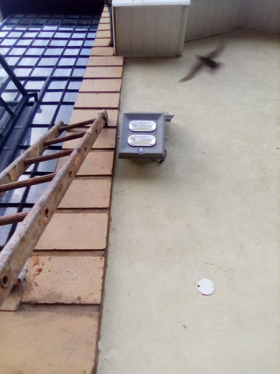 Gideon_Kitheka's tweet photo. SOLAR FLOODLIGHTS.
New models solar powered floodlights
automatic
Waterproof
No wiring
No bills and all weather conditions.
Automatic with photocells senser to automatically switch ON at night and OFF at daytime. https://t.co/aGzG2yZN4C