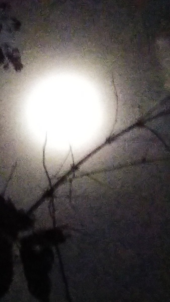 amalkanilmumu's tweet image. Take your phone, reduce its brightness, keep balance, and shot 😁📸

#supermoon
#xiaomi
#note4x