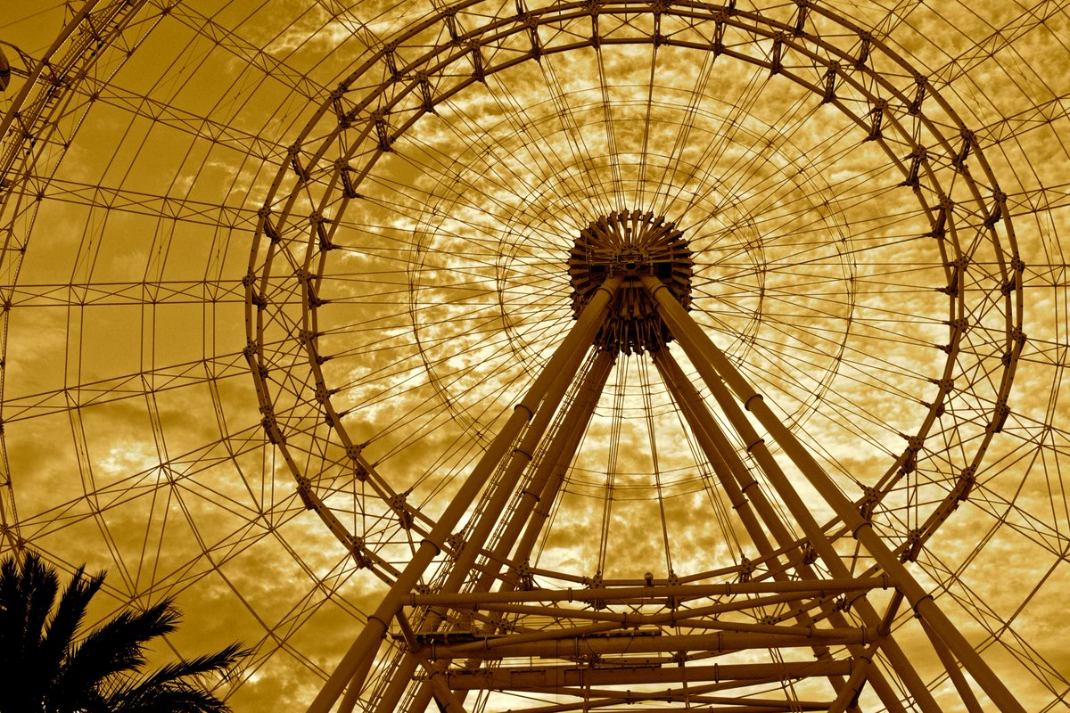 insideAOA's tweet photo. The Wheel at ICON Park opened 5 years ago. 🎡 AOA provided overall project management services and acted as the owner representative for the predevelopment of this destination.
#InsideAOA #FerrisWheel #ProjectManagement https://t.co/b9nDPTeE2t