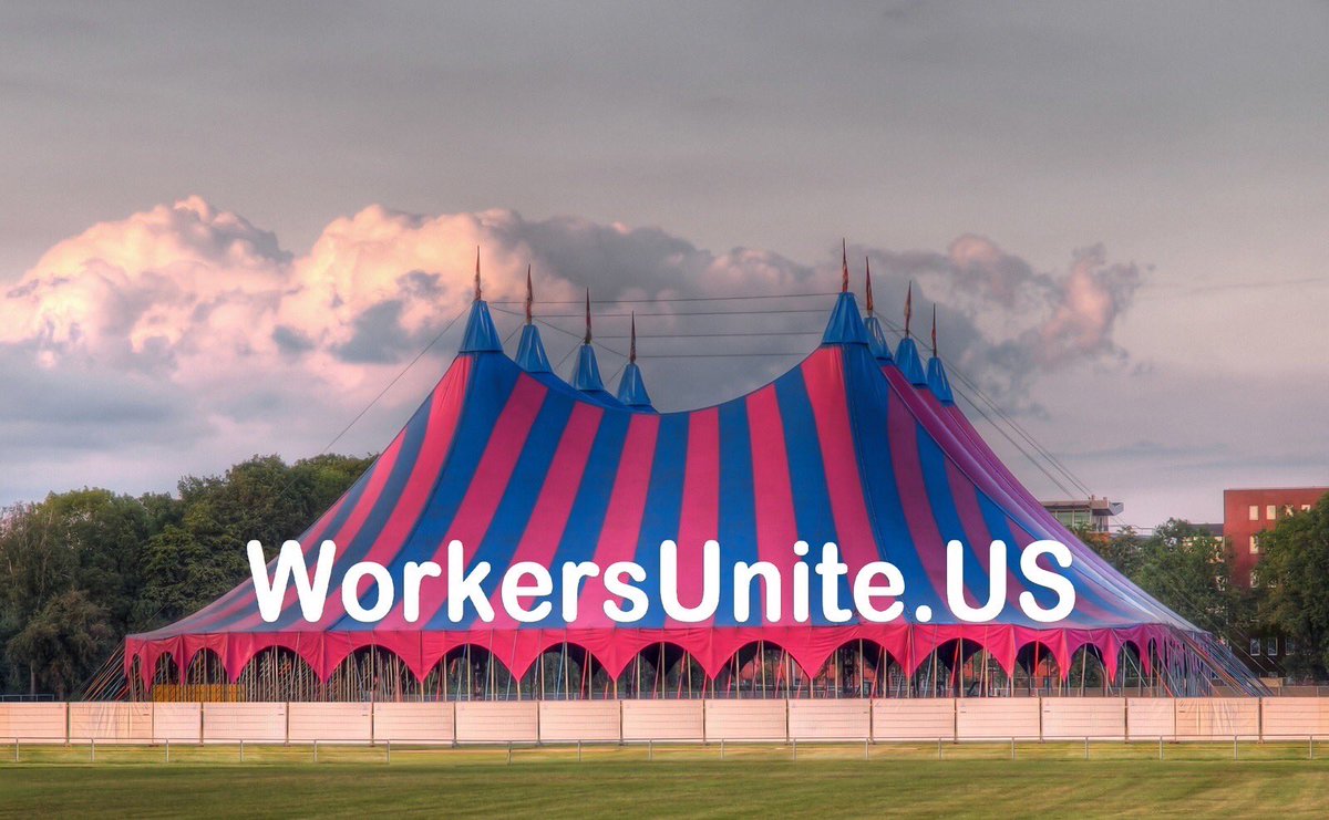 workers_us's tweet image. Uniting US🇺🇸WORKERS requires the 
BIGGEST &amp;amp; most
PROFESSIONAL 
TENT
that welcomes existing
🇺🇸GUESTworkers &amp;amp;
BigTech
Companies!
#UnitedWeStandDividedWeFall
#AmericaFirst #AmericanWorkers #HireAmerican #NoS386
#ReformH1B now!
Throwing a baby out with the bath water isn’t a solution