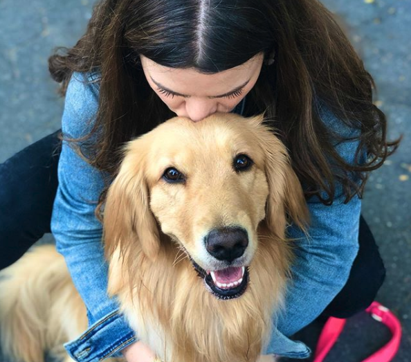 goldensglee's tweet photo. Twitter-universe: do you have a friend that's a healthcare professional in need of a pick-me-up? Message us their phone number or tag them in this post and we will send them a personalized, virtual hug from Glee. #StayStrong #HealthcareHeroes #Coronavirus https://t.co/y61gkoTr38
