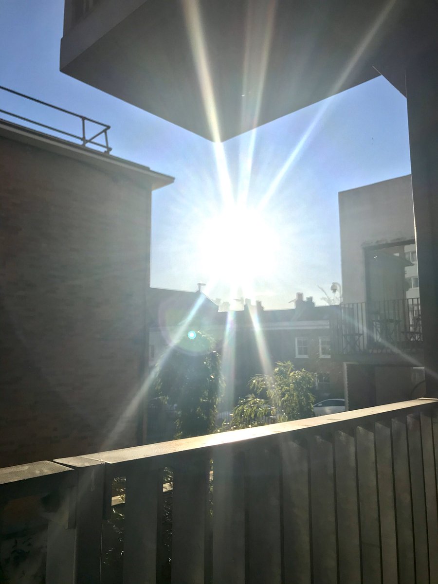 When you’ve been waiting for the sun to move around and hit your balcony all day ☀️😩 #StayHome #sun #lockdowneffect #readerscommunity