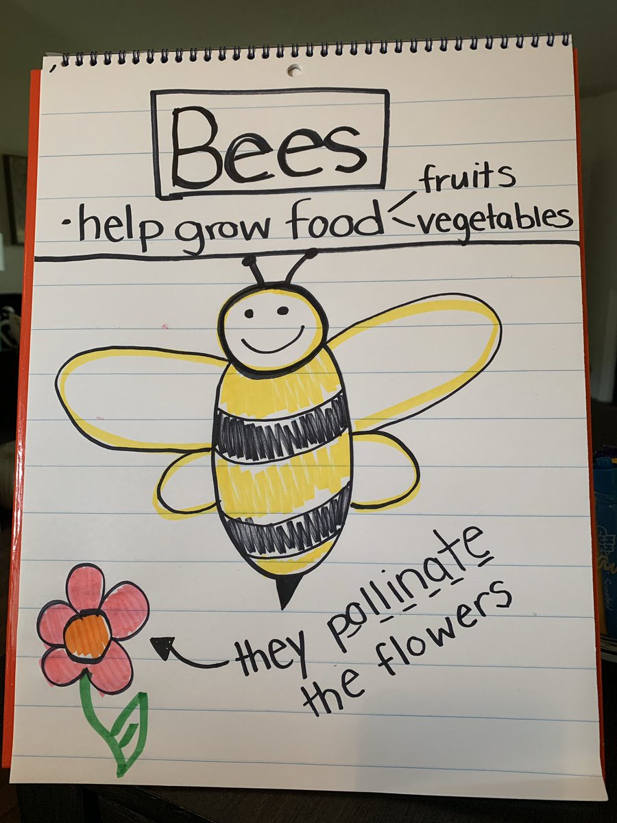 erikasmurray's tweet photo. Miss my kiddos so much!! But, thank goodness for technology! We read a book about bees and learned how to draw a bee together. Can’t wait for our second small group tomorrow! @SardisES_NC @kellylmarks54 @KevinBeals2 @UCPS_MonroeNC https://t.co/fvq8SuUvnt