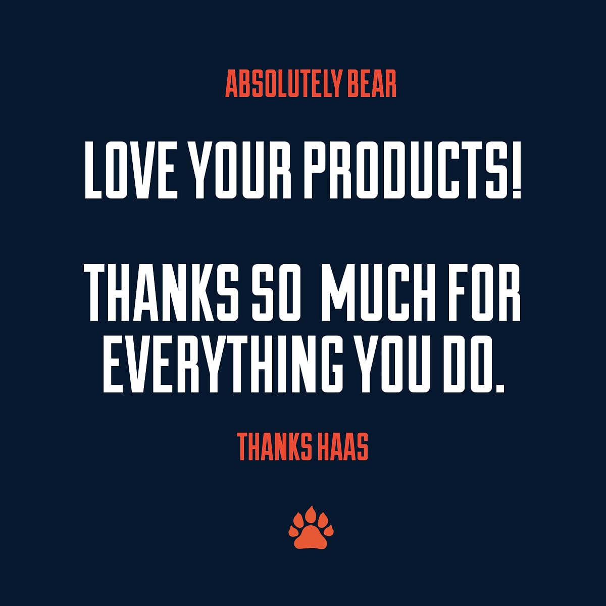 AbsolutelyBear tweet picture