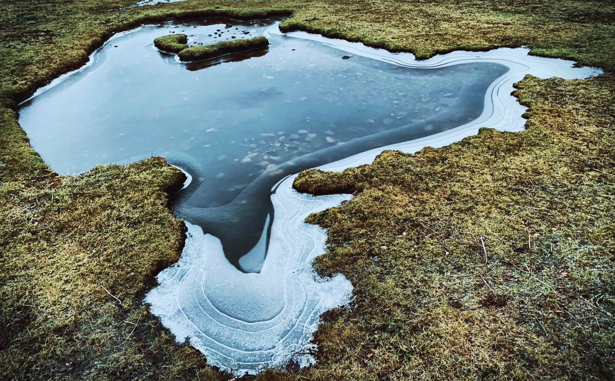The frozen edges of a puddle by the Loch by the studio, while other people were making music half a world away. #IAWLP