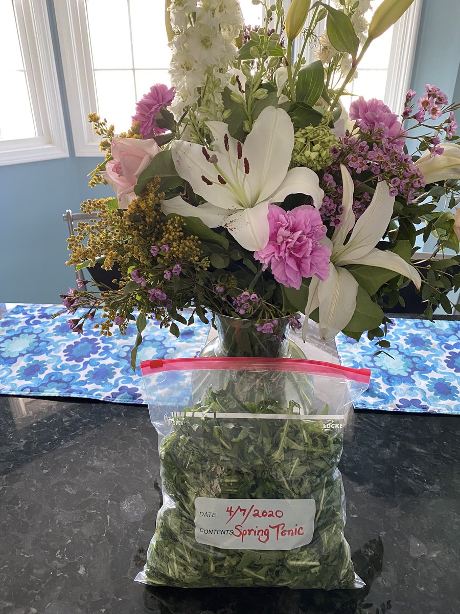 SueMel29's tweet photo. Cleaned 3 bunches today. Keeping Momโs Easter tradition alive for Ham Pie and #Dandelions salad on Saturday #alwayswithus and yes, itโs our #springtonic https://t.co/SnWfeyQeAo