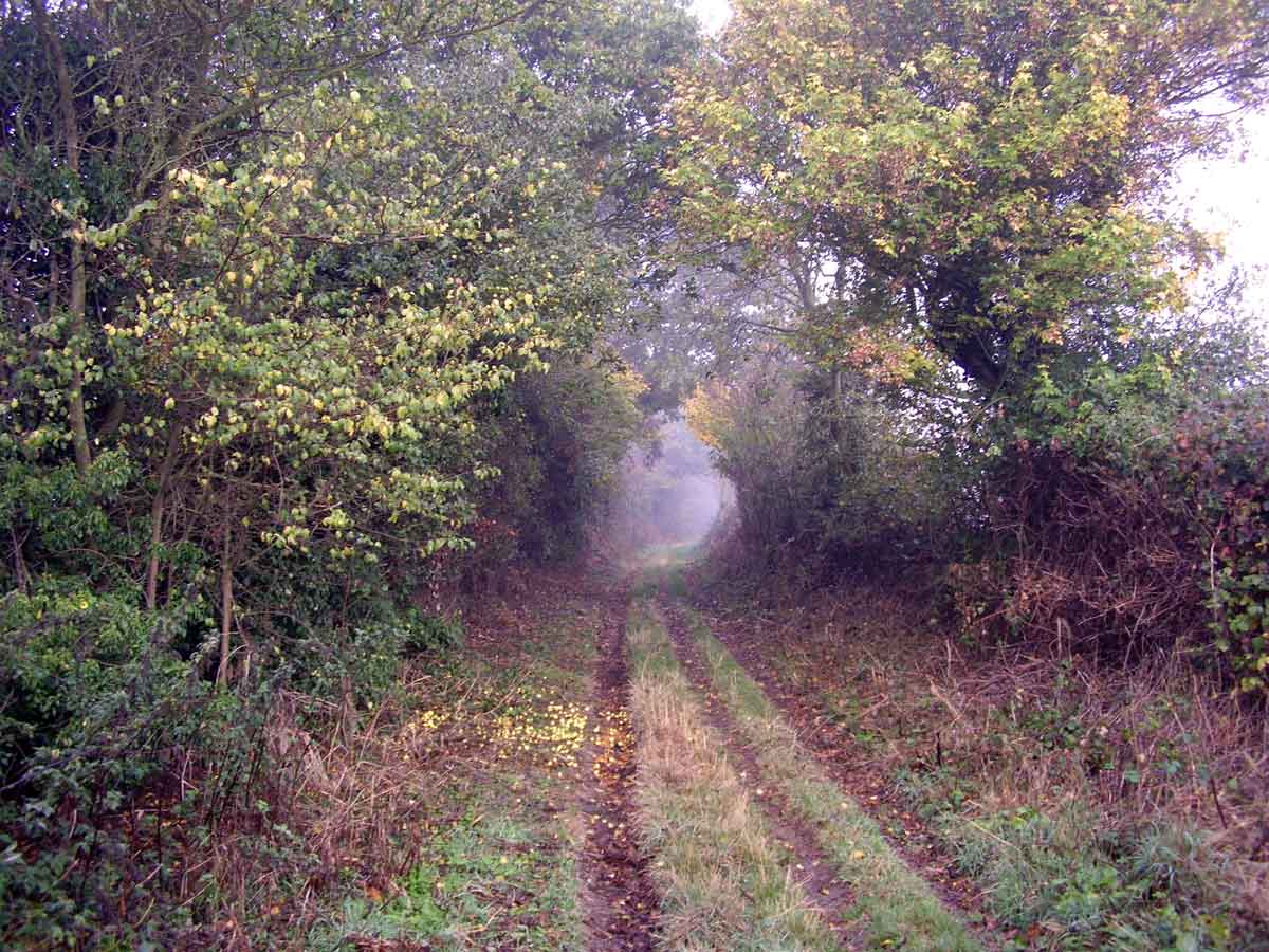 During its heyday in the C14th & C15th Little Walsingham was visited by thousands of pilgrims each year, following the old pilgrim roads. Today many of these routes are major roads but, just occasionally, it's possible to stumble across one of the old pilgrim tracks.  #EAchurches