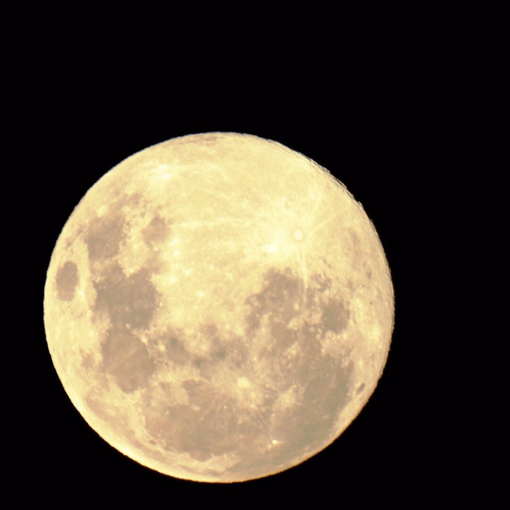 agar0th's tweet photo. Up high in the sky tonight. I bet my little Dupes would be able to start their journey on our moon. Tune in tomorow on https://t.co/yvLGOC1pDd for some more Diaries of the Doomed Gang.
#oxygennotincluded
#ONI https://t.co/HfbXN5sGEN