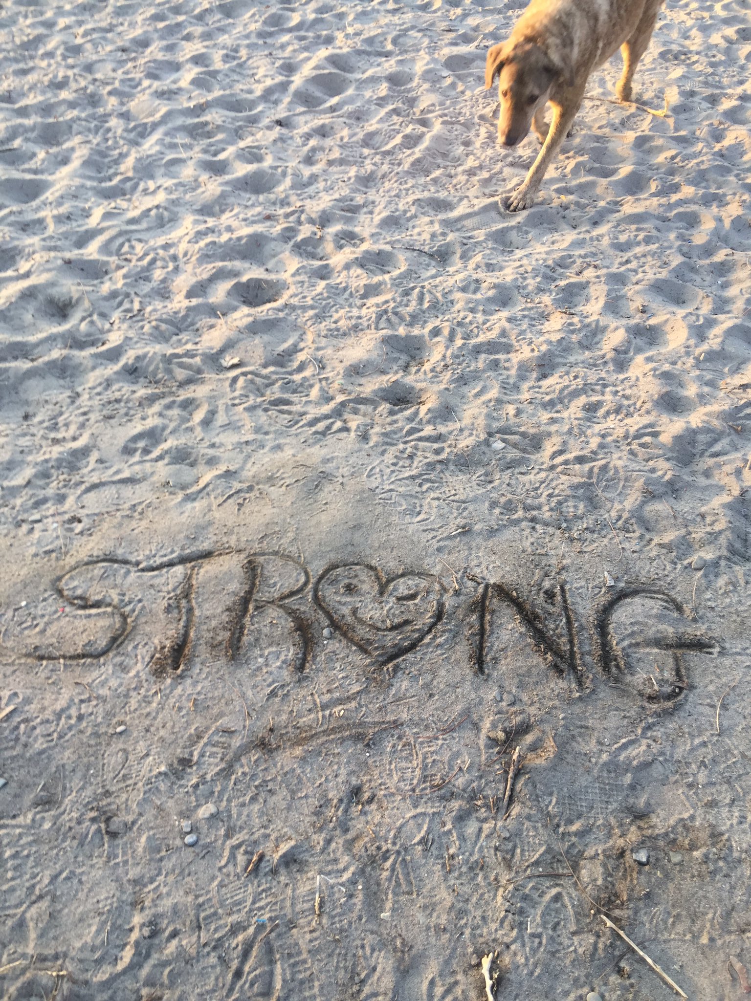 Gordon Thomas Rattray Hannah on Twitter: 