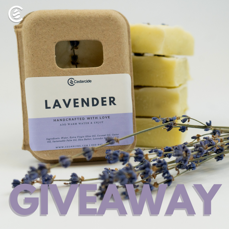 realcedarcide's tweet photo. Giveaway time!
In stressful times like these, self care is especially importantπ
That's why we are giving away a bar of our handcrafted, lavender soap! Made with love (and real lavender) πΏπ
Enter: RT this tweet & follow!
(U.S only)
#Giveaway #Quarantine #Cedarcide #free https://t.co/15ubemJ1OX