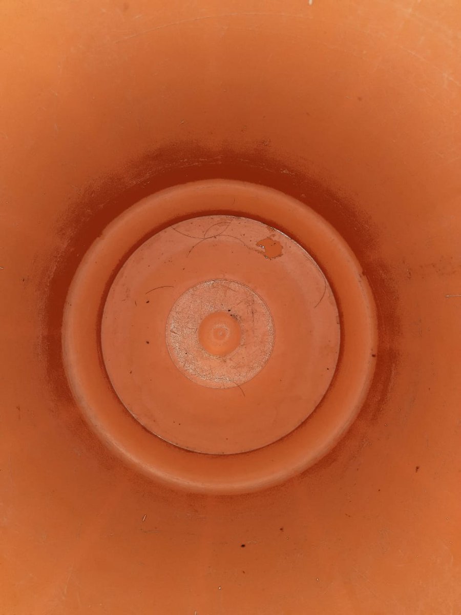raodevaraj's tweet photo. Found the bucket;now I need a list!
#bucketlist #Quarantine #lockdown https://t.co/jXJ1yWikyr