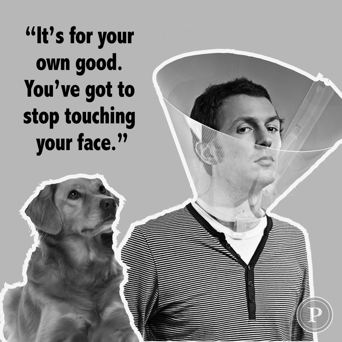 Happy Tuesday. Hope your quarantine is going well. #staysafe