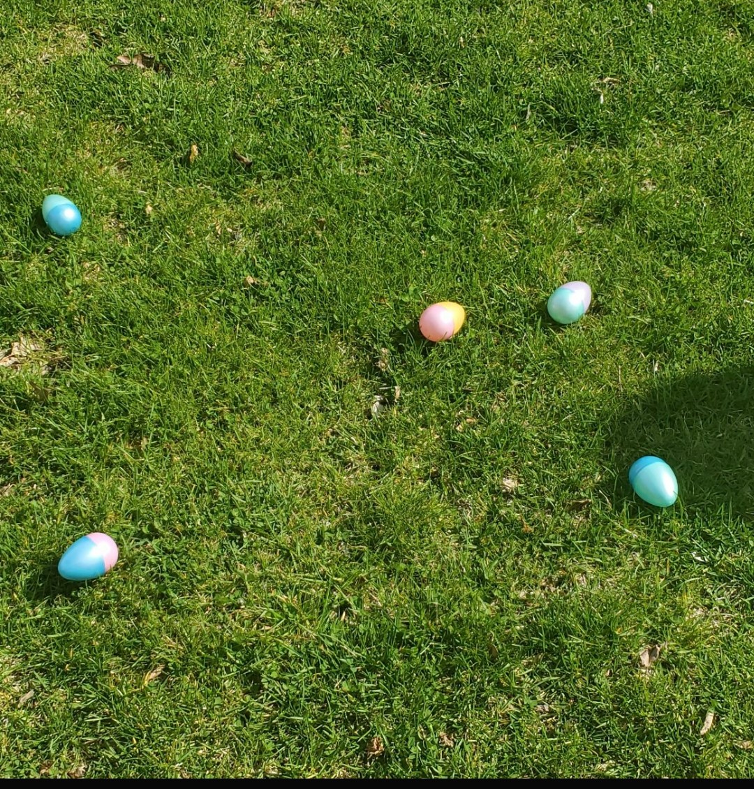 Opened my front door to find that someone had spread some early Easter cheer! Shows the power of the human spirit during these challenging times. Perfect example of <a href="/somegoodnews/">Some Good News</a>
#LookForTheAwesome
<a href="/ValleyStreamRWC/">Robert W. Carbonaro School</a>
<a href="/VS24District/">Valley Stream 24 School District</a> 
<a href="/DonSturz/">Don Sturz</a>
<a href="/RWC_Principal/">Rosario M Iacono</a> 
<a href="/RWCschoolPsych/">Mrs. Greenblatt</a>