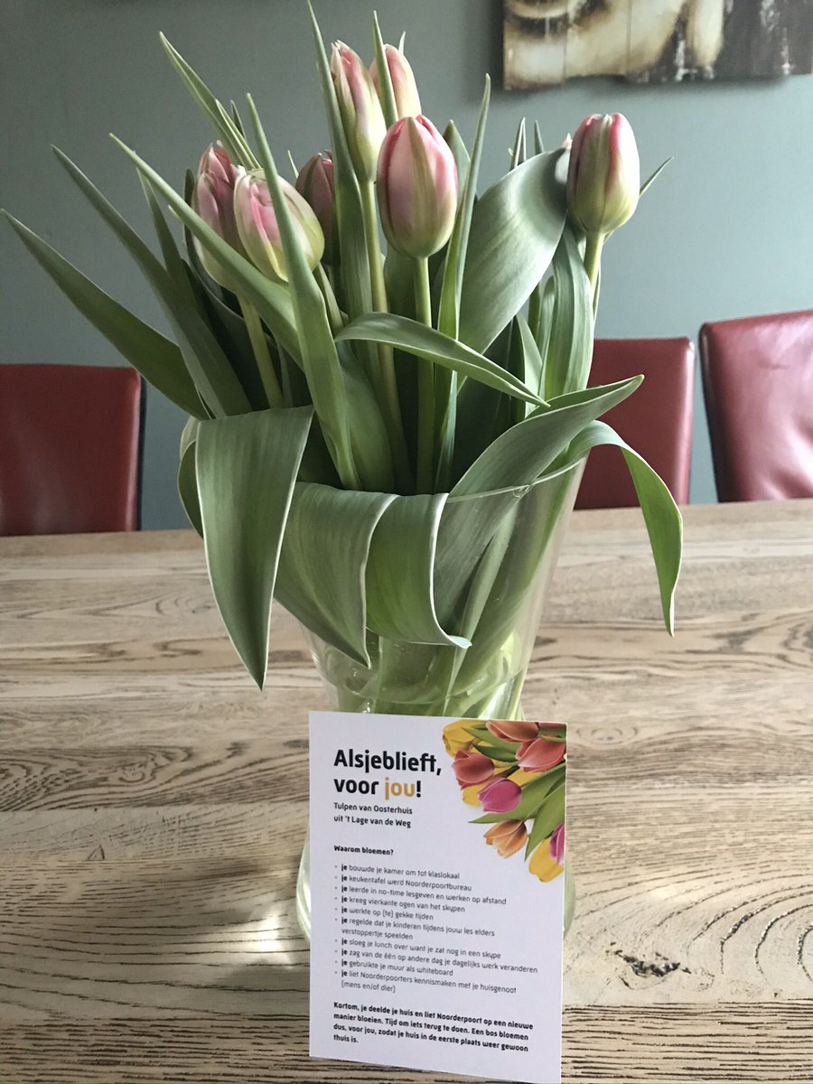 Mooi gebaar van <a href="/Noorderpoort/">Noorderpoort</a>!
Fijn om voor zo’n opdrachtgever te werken. Samenwerken online is goed geregeld en online lesgeven stond binnen 1 week. #trots #yacht