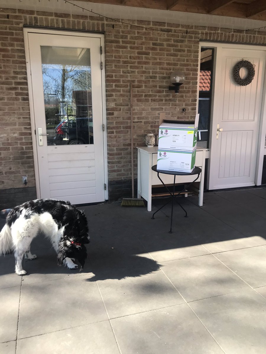 Jaap_Jonker9's tweet photo. Laatste klant van vandaag net gehad #Hysky! Nog even door met #uien #zaaien en dan morgenavond de haspel erop. Morgen weer wat zaad naar Groningen brengen #Hypark #Primed @DeGrootenSlot #service https://t.co/OkHtMLfC5R
