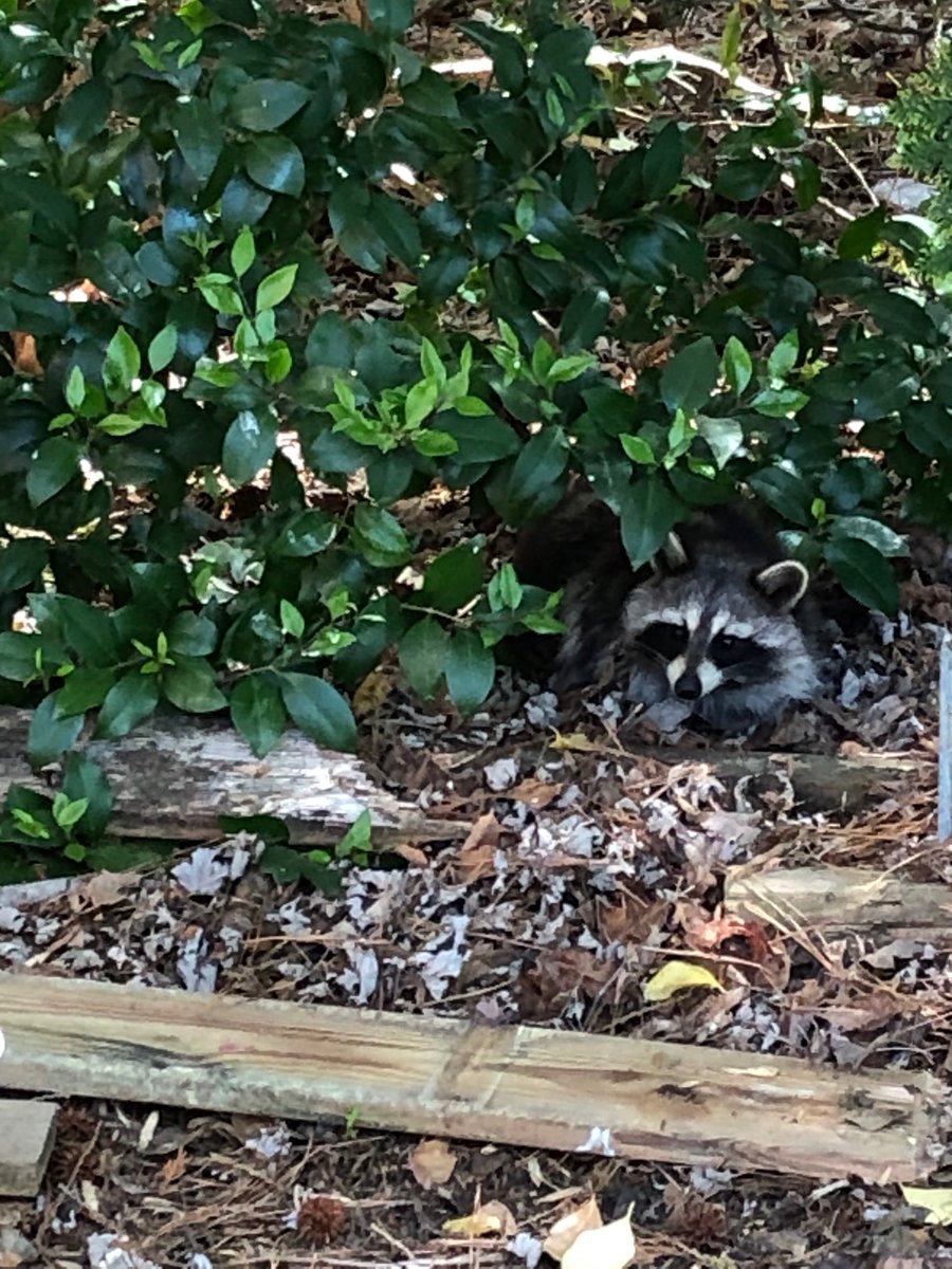 Jennifer Hampton tweet media