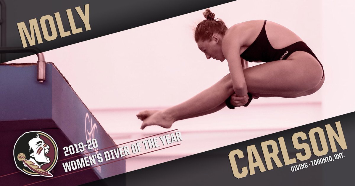 FSU Swimming/Diving tweet media