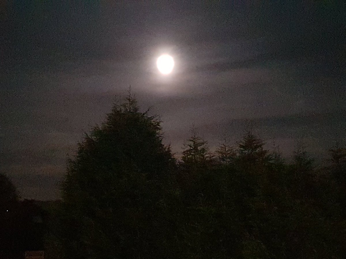 Stan Jackson tweet media