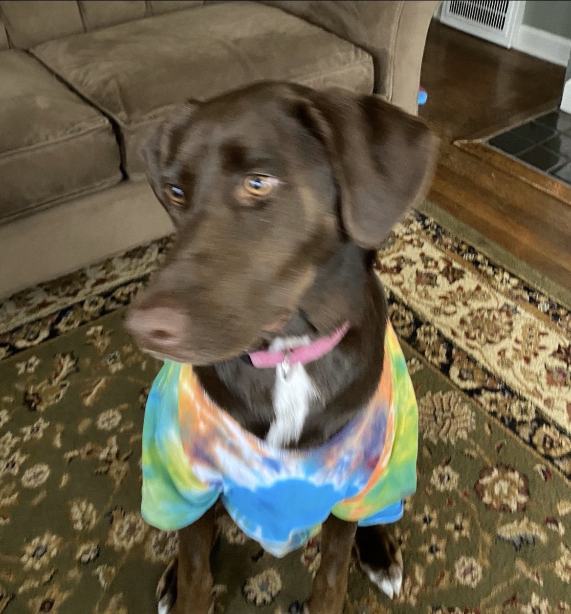 MarionCSeltzer's tweet photo. Tie dye Tuesday! #Seltzerspiritweek https://t.co/oGp1ea7l51