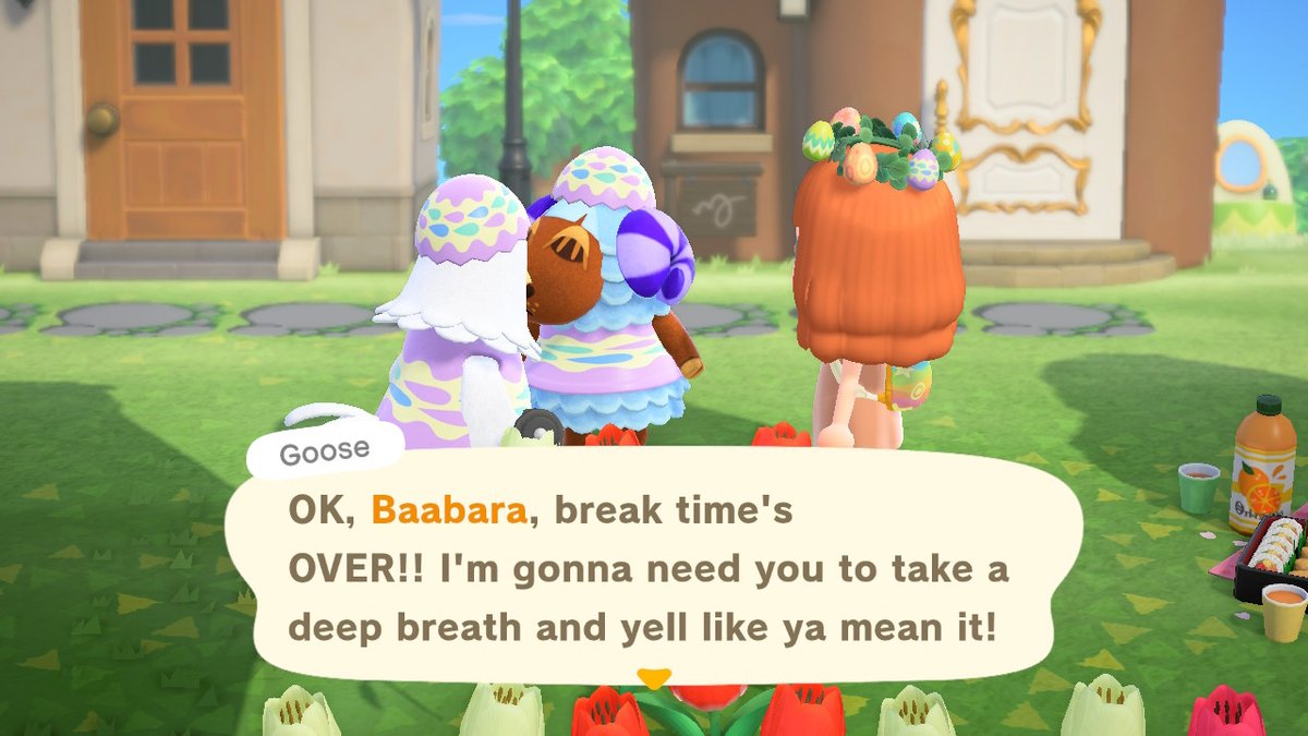 alysiennn's tweet photo. #AnimalCrossing #ACNH #NintendoSwitch https://t.co/oA1i6RHj4w