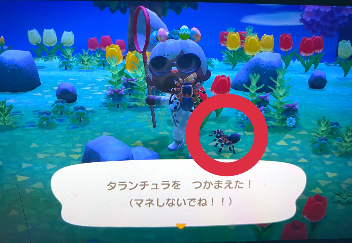 あつ 森 タランチュラ 島 特徴 あつ森 誰でも簡単 タランチュラの捕まえ方や1 5倍の値段で買い取ってもらう方法 金策 あつまれどうぶつの 森 Documents Openideo Com