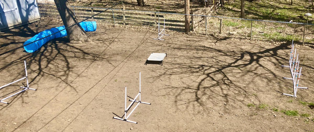 mrs_sorrell's tweet photo. What a gorgeous day!! 🌞 To think we might be wearing hoodies again by this weekend. 😯Our quarantine activity of the day: agility—backyard edition! 🐶
#QuarantineLife #aussiepups #GeriAndFreki #agilitydogs #backyardagility #sunnydays #IwishIhadGrass https://t.co/L66sKH48tY