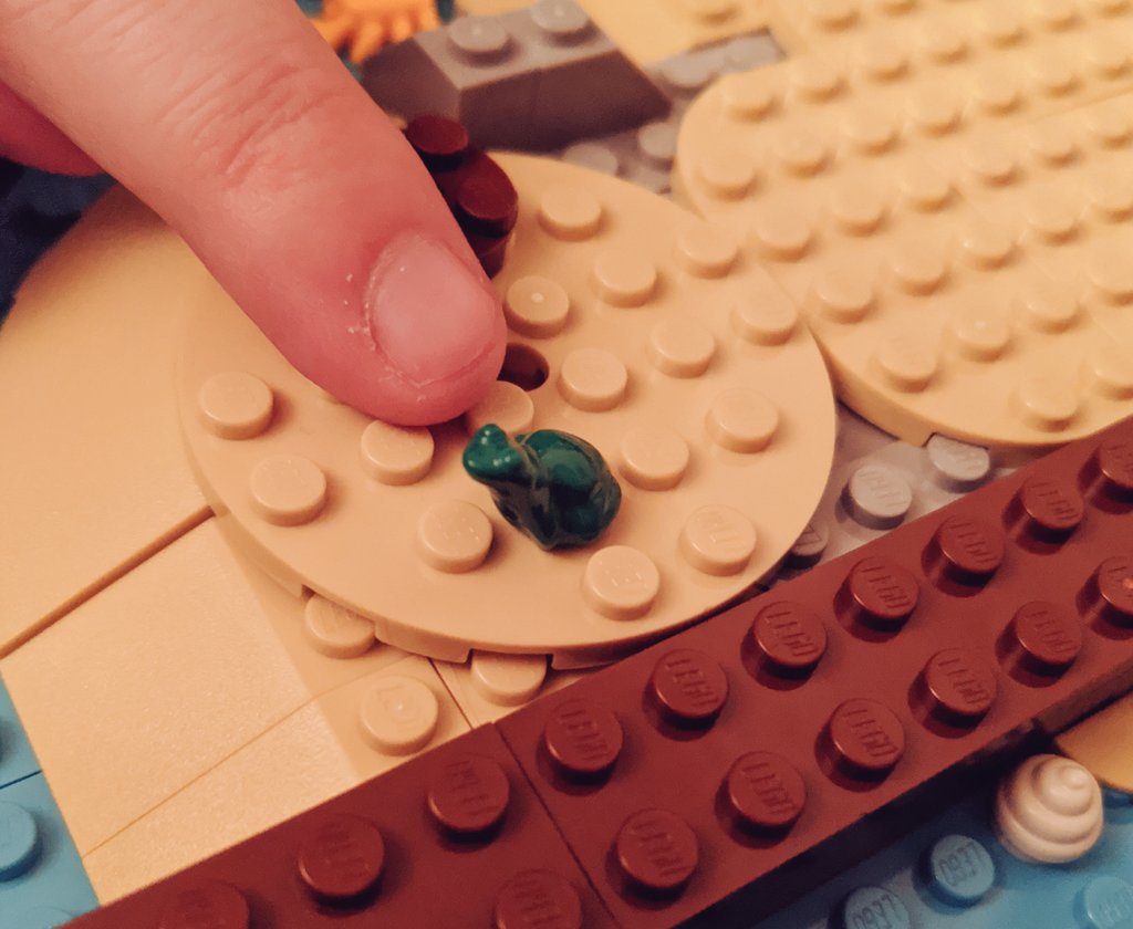 Jazzymandias's tweet photo. Tiny local fauna is extremely cute. https://t.co/vSPYR9OoRq