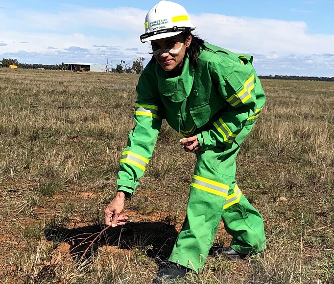 FFMVic's tweet photo. The cultural #PlannedBurning near #Dingee, #Kamarooka North and #Prairie is progressing well. We will be onsite until the fireground is safe. More info at: https://t.co/DANG6jOYU6. #FFMVic https://t.co/eJdaC0ahzy