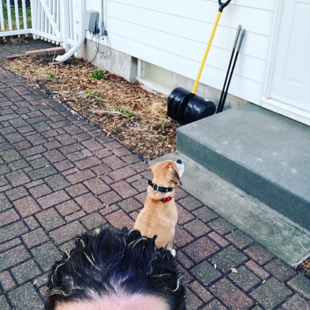 Don’t look at me and don’t talk to me. #SocialDistancing #CougarsOnline2020 #BetterTogetherLSHS