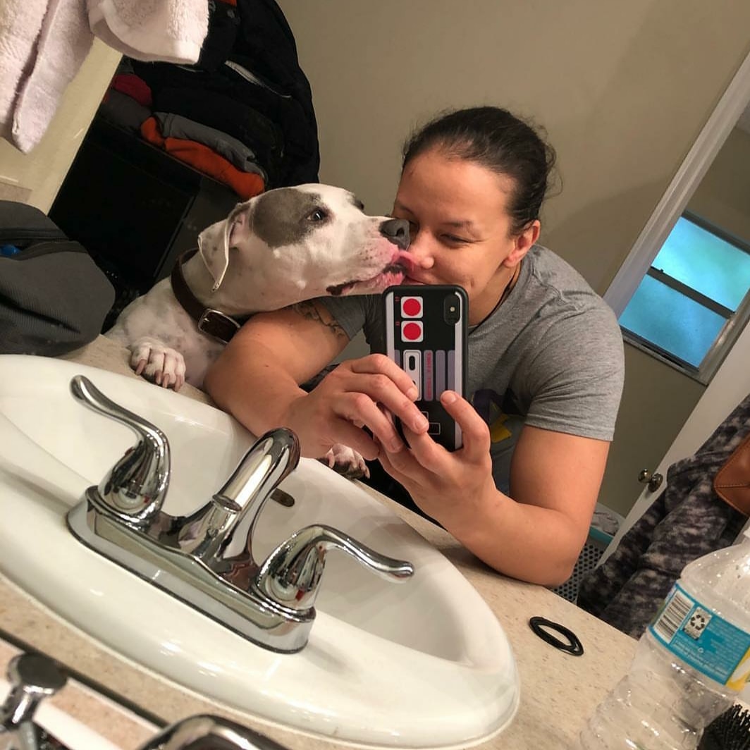 TeamQoS's tweet photo. Quarantine Day 237: The pup has officially mastered the art of the mirror selfie 👑♠️ #IsisPuppy #QuarantineLife https://t.co/jaR5J4b1Z3