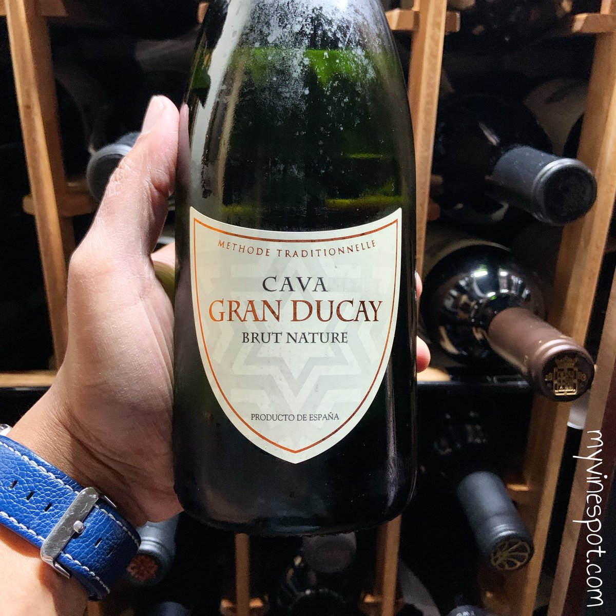 myvinespot's tweet image. Gran Ducay Brut Nature: Budget-friendly &amp;amp; satisfying—key reasons to embrace bubbly in our everyday lives!  Composed of Macabeo, Xarel.lo &amp;amp; Parellada, this #TraditionalMethod #wine offers fresh citrus &amp;amp; orchard fruit w/ a dash of pastry dough. Fun, festive &amp;amp; ONLY $10! #winestudio