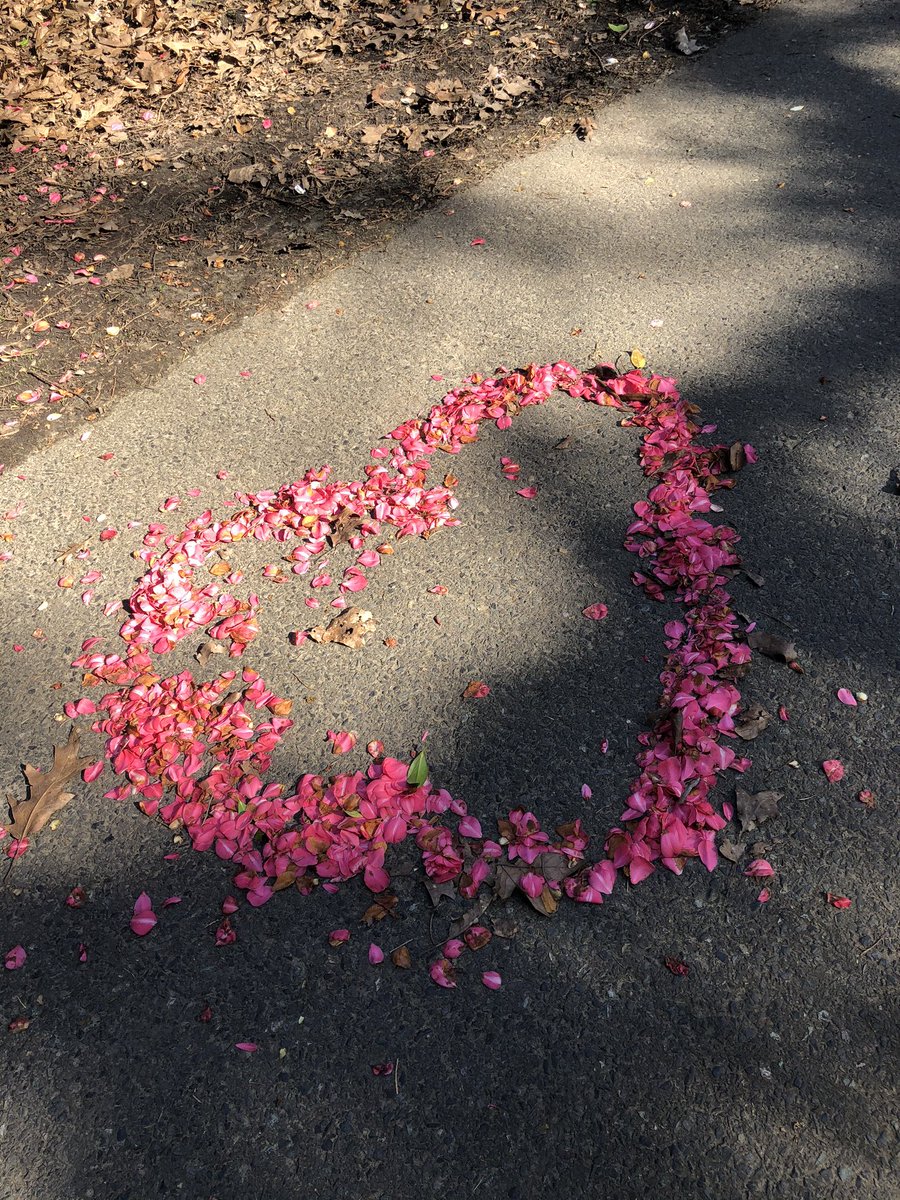 Farrah C tweet media