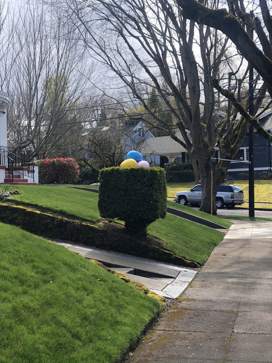 Random photos from walks in my neighborhood. I ❤️ where I live.