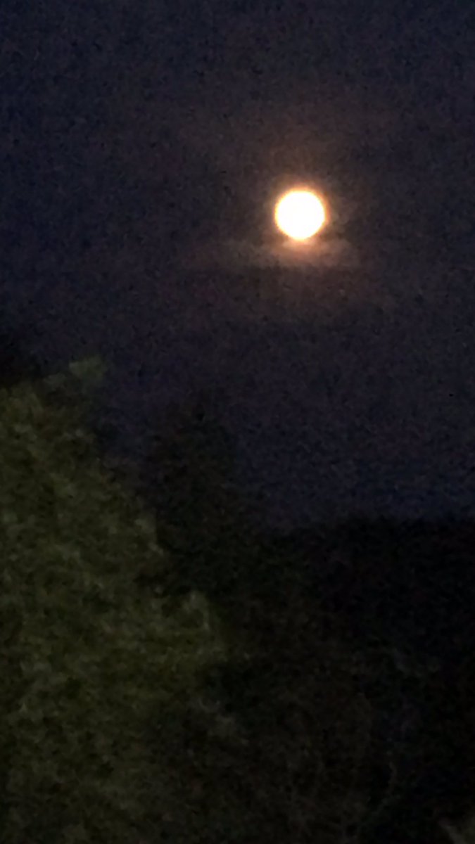 LisaFerriola's tweet photo. Pink moon https://t.co/4OJooEHMOk