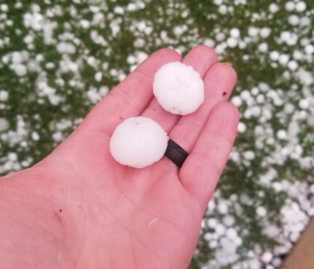 Me: What a beautiful day, nothing can go wrong

Mother Nature: wanna bet, it's 2020, watch this!!