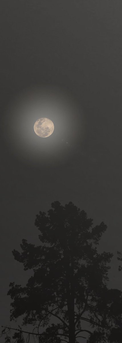 Rdesousa_'s tweet photo. #SuperLuna #Farandi https://t.co/9rNzkZijxG